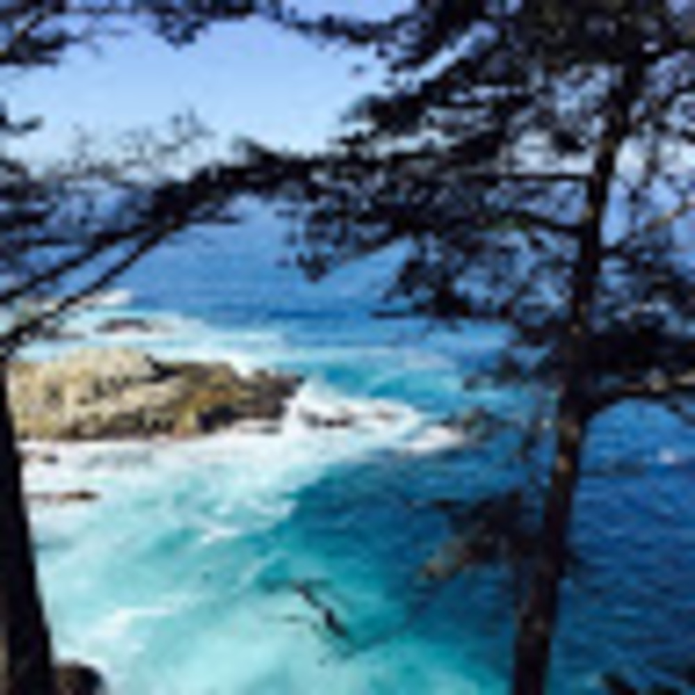 Meet your Posher, Umama